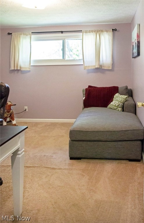 Briar Root Manor - Residential