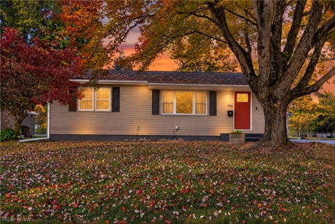 Photo of 770 S 14th Street, Sebring, OH 44672 (MLS # 5254791)