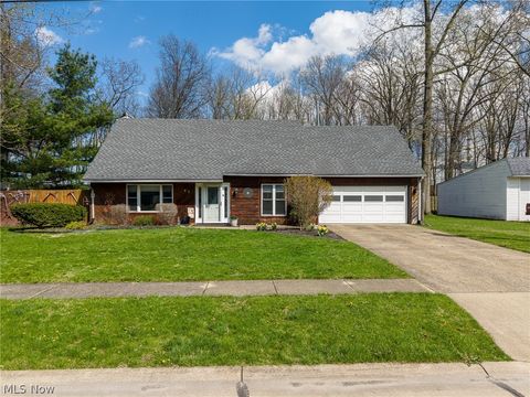 547 Cove Beach Avenue Sheffield Lake OH 44054