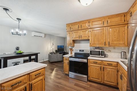 Tiny photo for 890 Kimberly Circle, Oberlin, OH 44074 (MLS # 5173369)