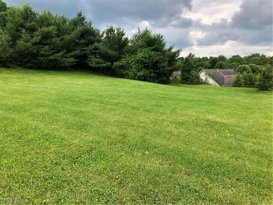 Build your dream home on this gently sloped lot in Mt. Vernon Estates! . .39 Acres, surrounded on 2 sides by mature trees makes this lot feel very private! Last lot available in this beautiful neighborhood of stately homes. Lot size 114X150 with city utilities. Ranch min 1600 sqft, cape cod & 2-story 1800 sqft.