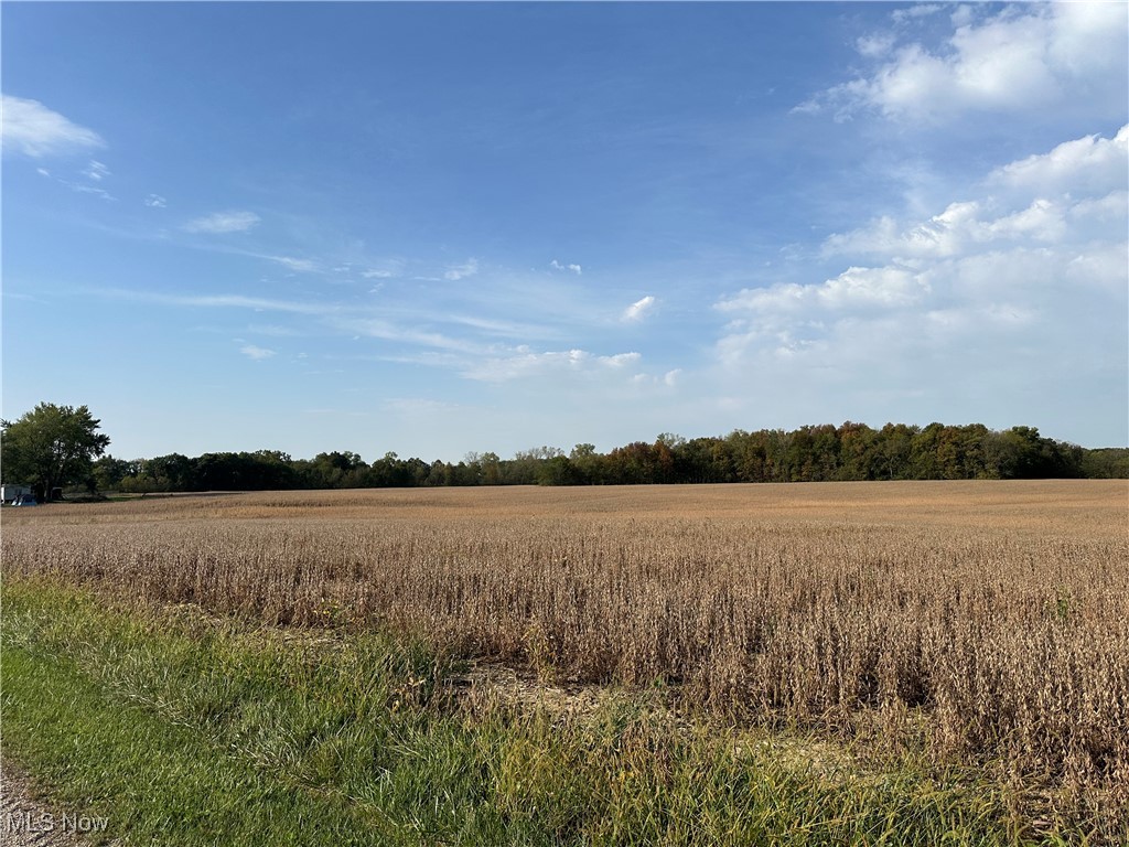 Lake, Hicksville, Ohio image 4