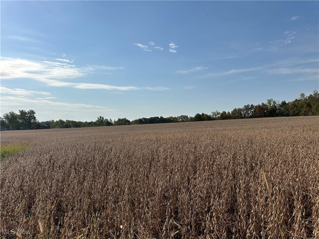 Lake, Hicksville, Ohio image 1