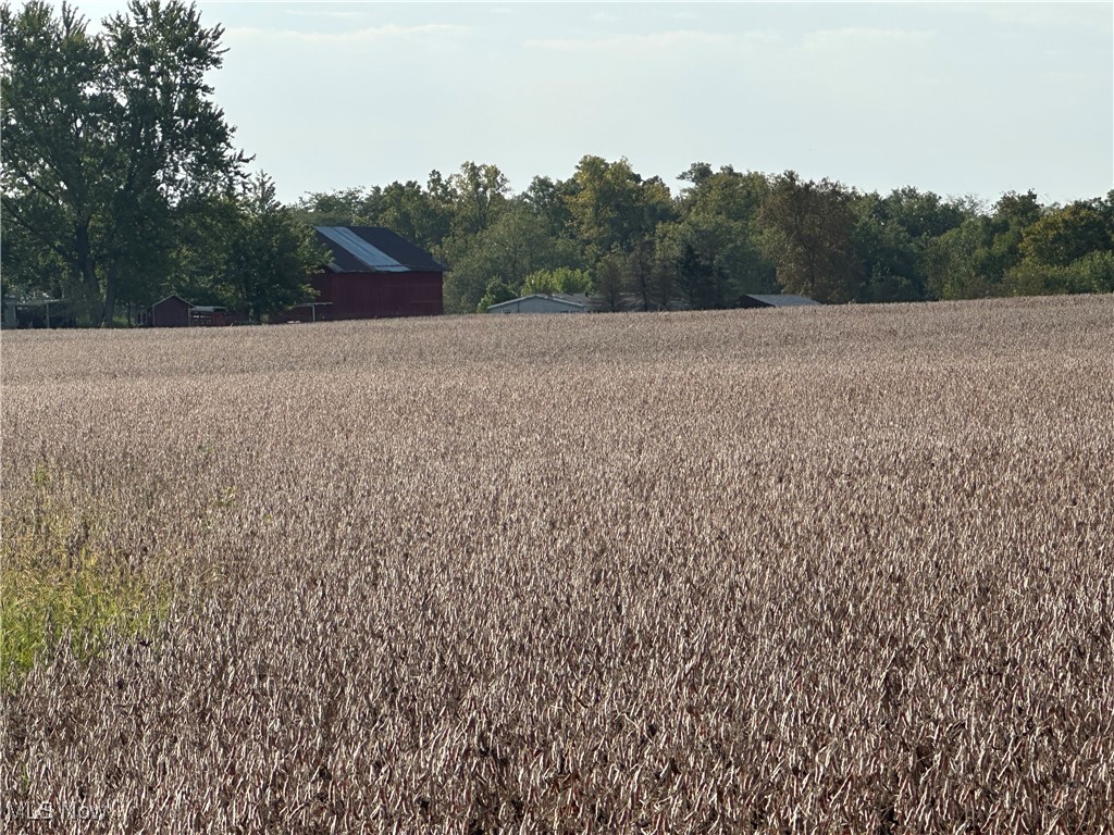 Lake, Hicksville, Ohio image 9