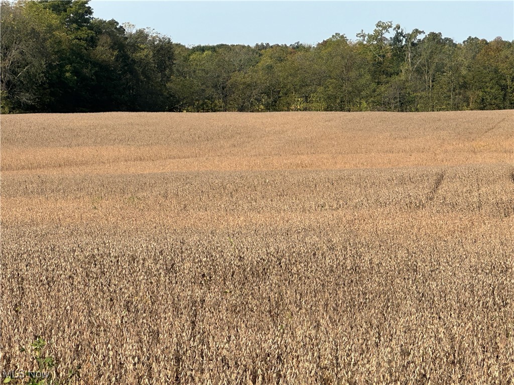 Lake, Hicksville, Ohio image 5