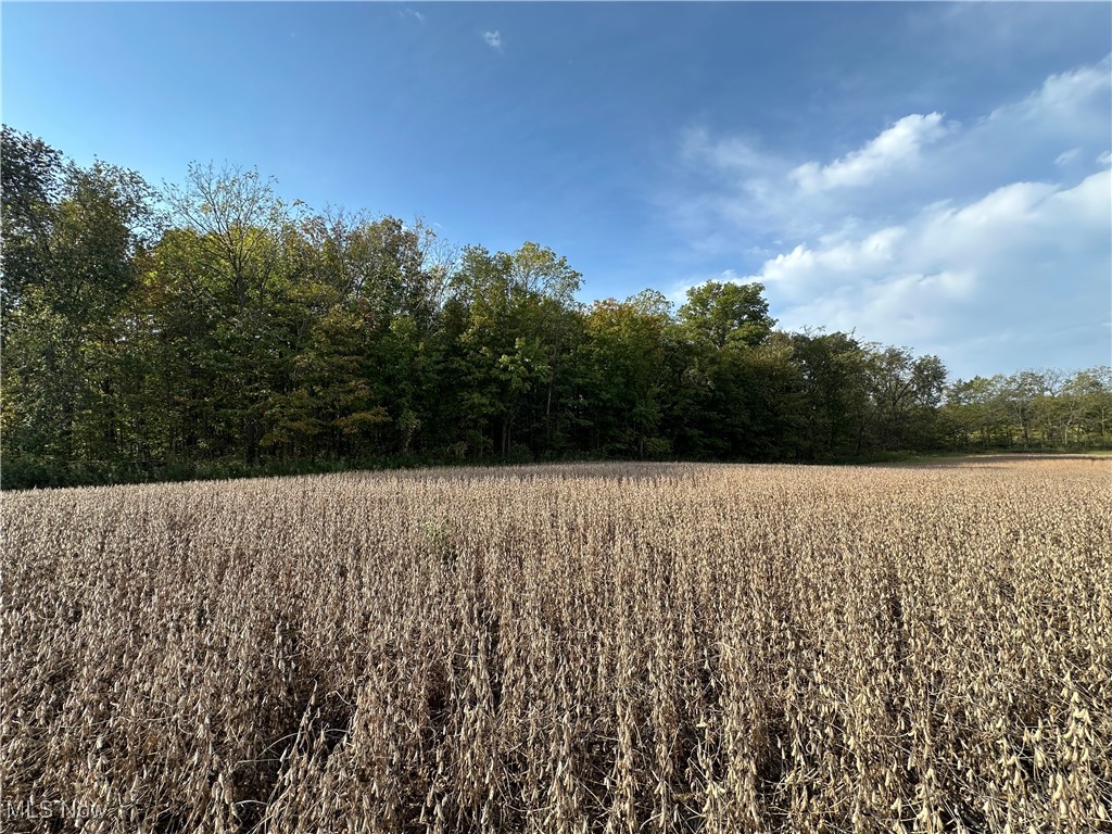 Lake, Hicksville, Ohio image 10