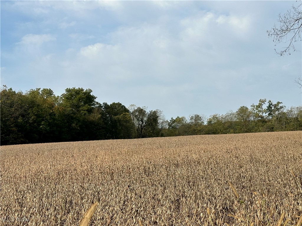 Lake, Hicksville, Ohio image 8