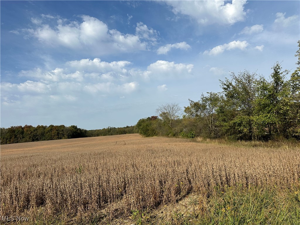 Lake, Hicksville, Ohio image 3