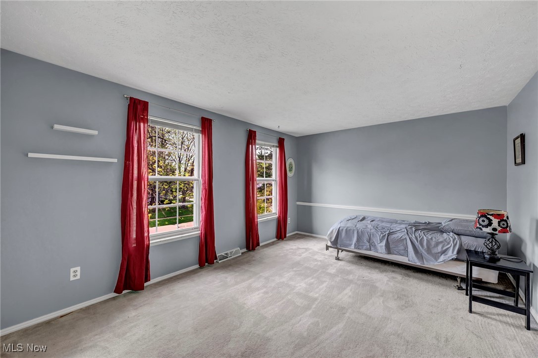 16561 S White Oaks Drive, Strongsville, Ohio image 16