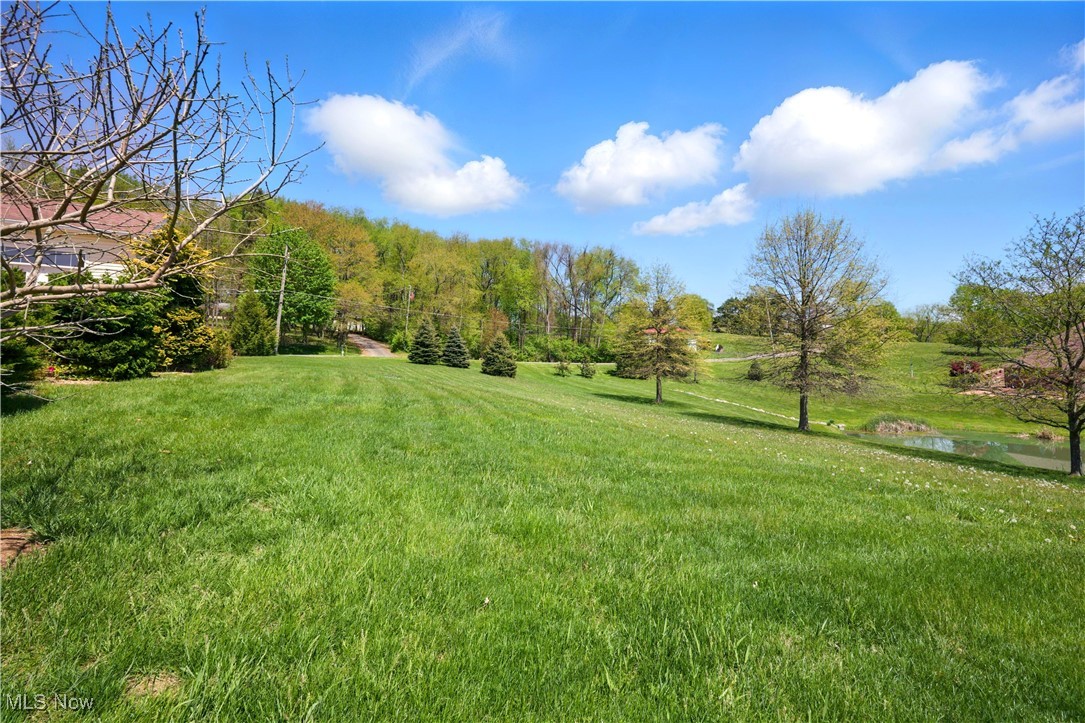 16544 Davis Drive, East Liverpool, Ohio image 32