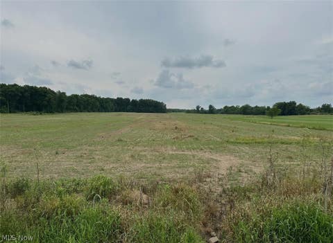 Vacant Land For Sale - 568 Co Rd 175<br/> Ashland County, West Salem, OH 44287