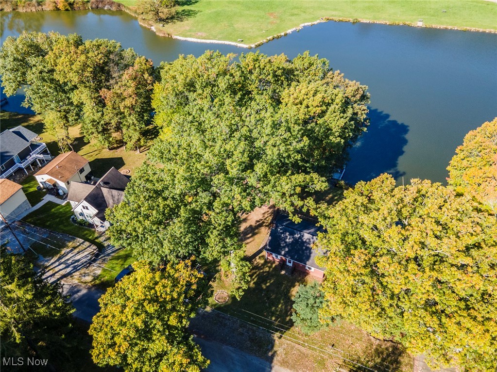 32102 Woodale Drive, Hanoverton, Ohio image 4