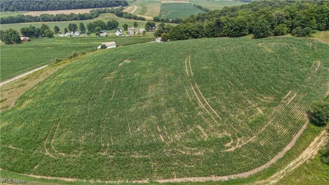 Vacant Land For Sale - 30410 State Route 60<br/> Warsaw, OH 43844
