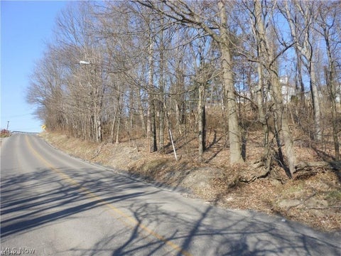 Vacant Land For Sale - VL Greenwood Avenue<br/> Cambridge, OH 43725