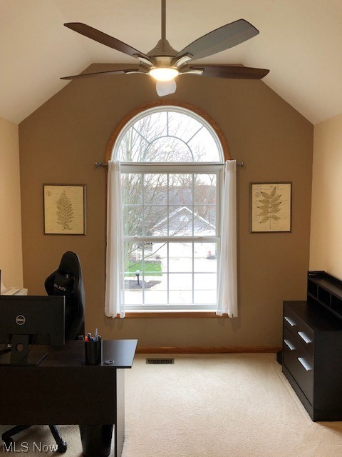 Cherrywood Dev - Residential