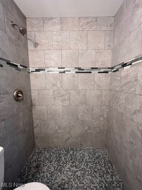 12802 St James Drive, Mantua, Ohio image 20
