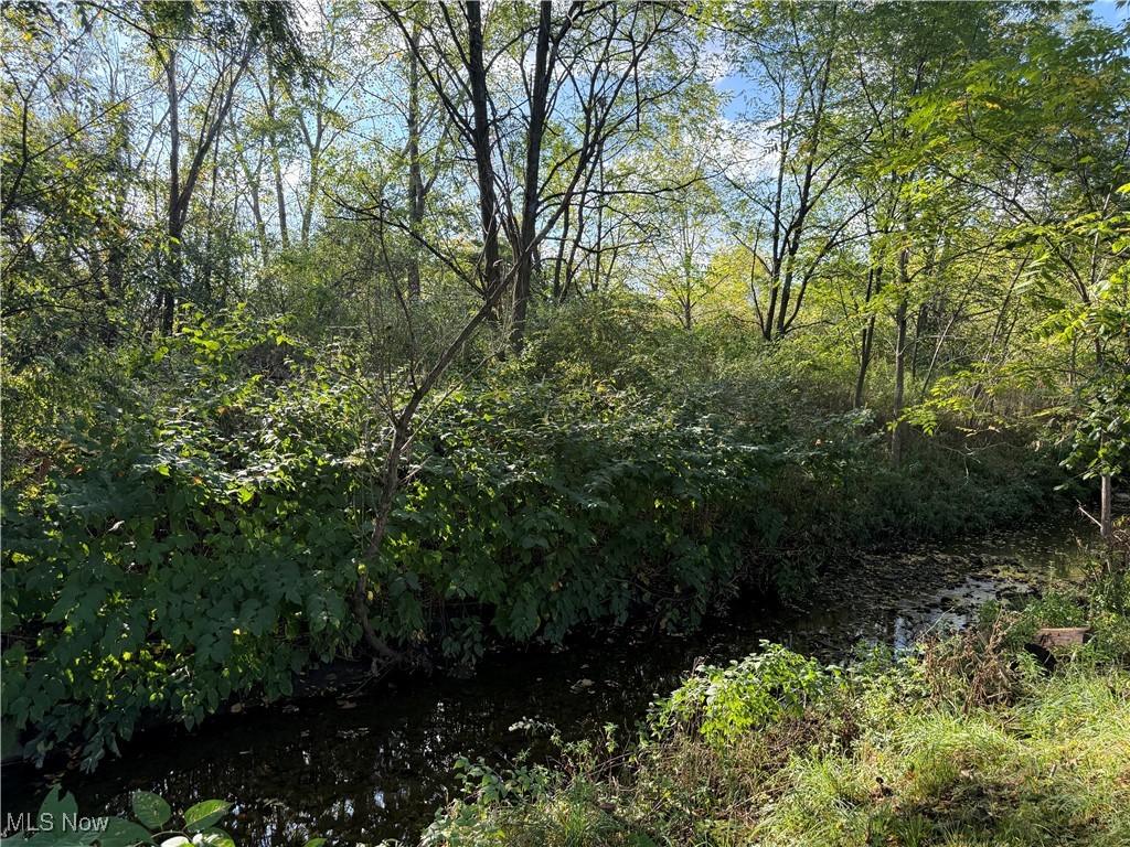 Schenley Park 06 - Residential