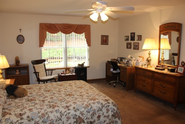 Ridges/Camden Park - Residential