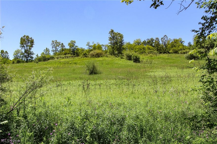 202.06 vacant acres. Large recreational tract in Harrison County. Not far from SR 22 and Hopedale Ohio. Mostly wooded with a few open areas. Several small ponds. 2000+/- feet of road frontage on Unionvale Road. Taxes TBD. Buyer will need to get property enrolled in CAUV to reduce taxes. Seller is reserving all gas /oil and mineral rights.
