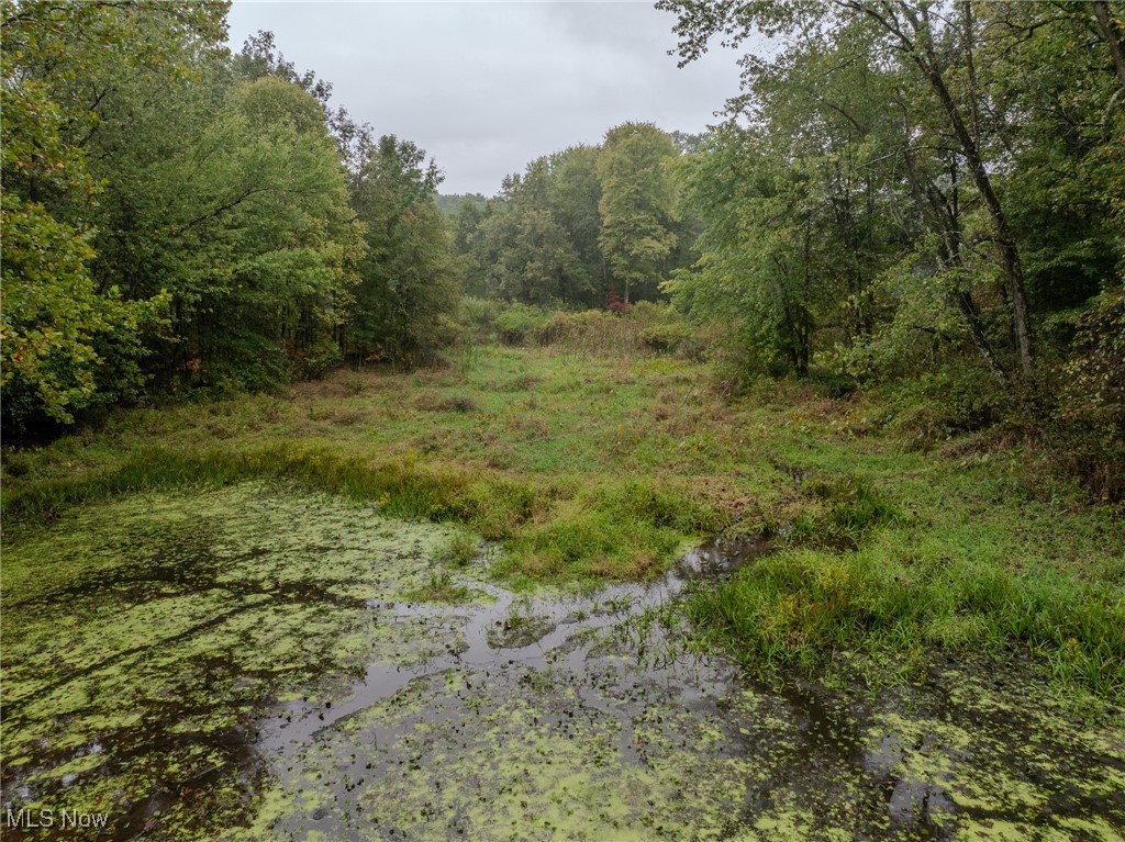 Minerva Road, Magnolia, Ohio image 15