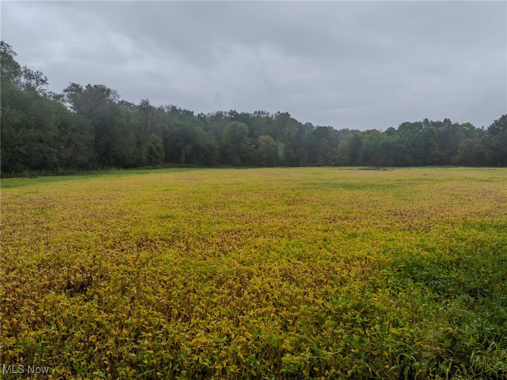 Minerva Road, Magnolia, Ohio image 7