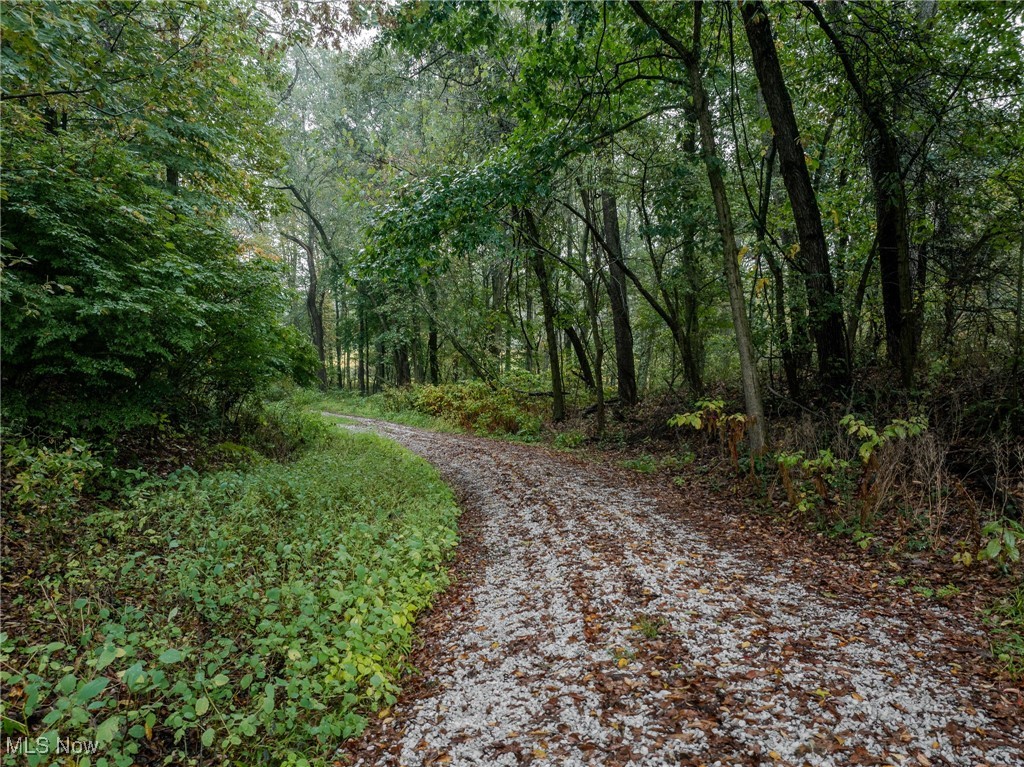 Minerva Road, Magnolia, Ohio image 8