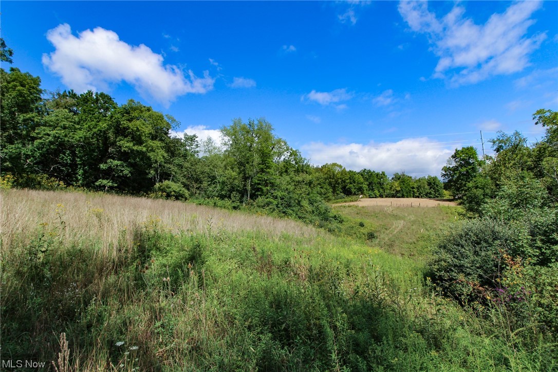 This property has plenty of deer sign and should be excellent for hunting! Areas of thick cover and heavily used deer trails through the property! Rolling to steeper topography and several secluded fields would make great food plots! The seller has a dozer scheduled to install a road into the property for better access. Easy access back to SR 22 and Hopedale Ohio. The property is in Harrison Hills City School District. The property is selling without mineral rights and annual taxes are approximately $1462.88. GPS coordinates are 40.2793, -80.9262