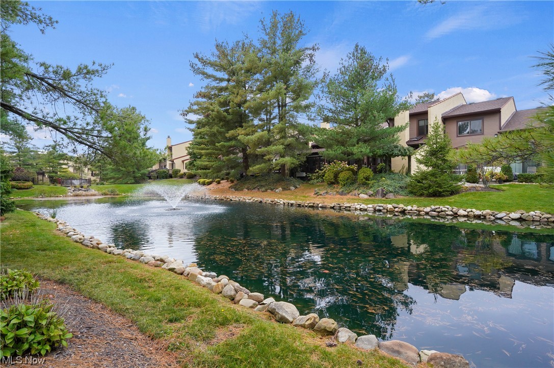 Village/Brookwood - Residential