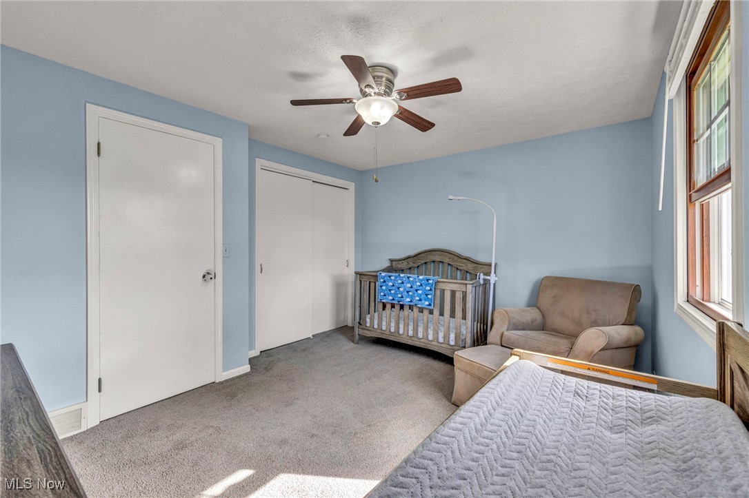 5919 Snowshoe Circle, Canton, Ohio image 14