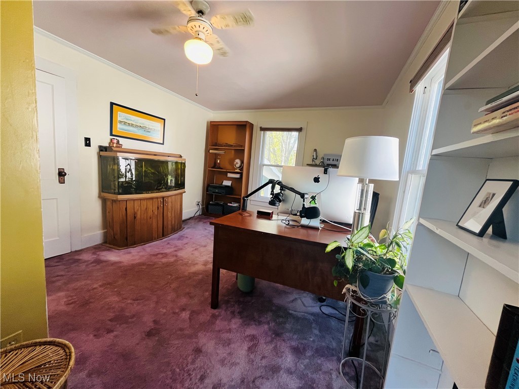 180 Montgomery Boulevard, New Concord, Ohio image 25