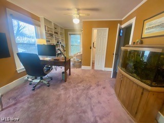 180 Montgomery Boulevard, New Concord, Ohio image 28