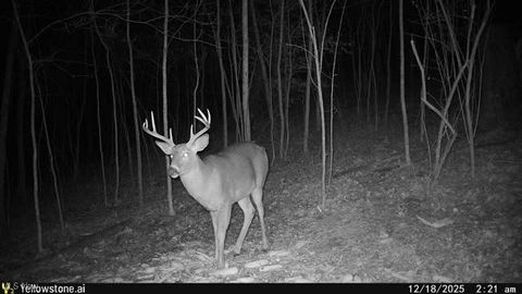 Tiny photo for 6257 Caddy Road SW, Bowerston, OH 44695 (MLS # 5178440)