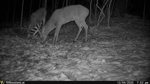 Tiny photo for 6257 Caddy Road SW, Bowerston, OH 44695 (MLS # 5178440)