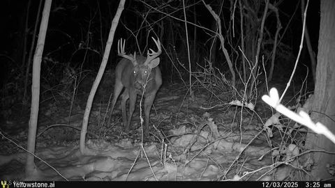 Tiny photo for 6257 Caddy Road SW, Bowerston, OH 44695 (MLS # 5178440)