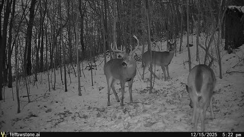 Tiny photo for 6257 Caddy Road SW, Bowerston, OH 44695 (MLS # 5178440)