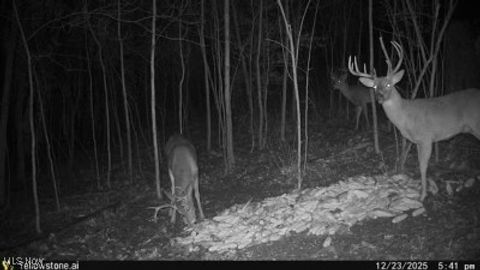 Tiny photo for 6257 Caddy Road SW, Bowerston, OH 44695 (MLS # 5178440)