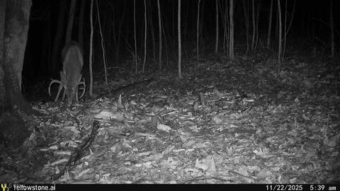 Tiny photo for 6257 Caddy Road SW, Bowerston, OH 44695 (MLS # 5178440)