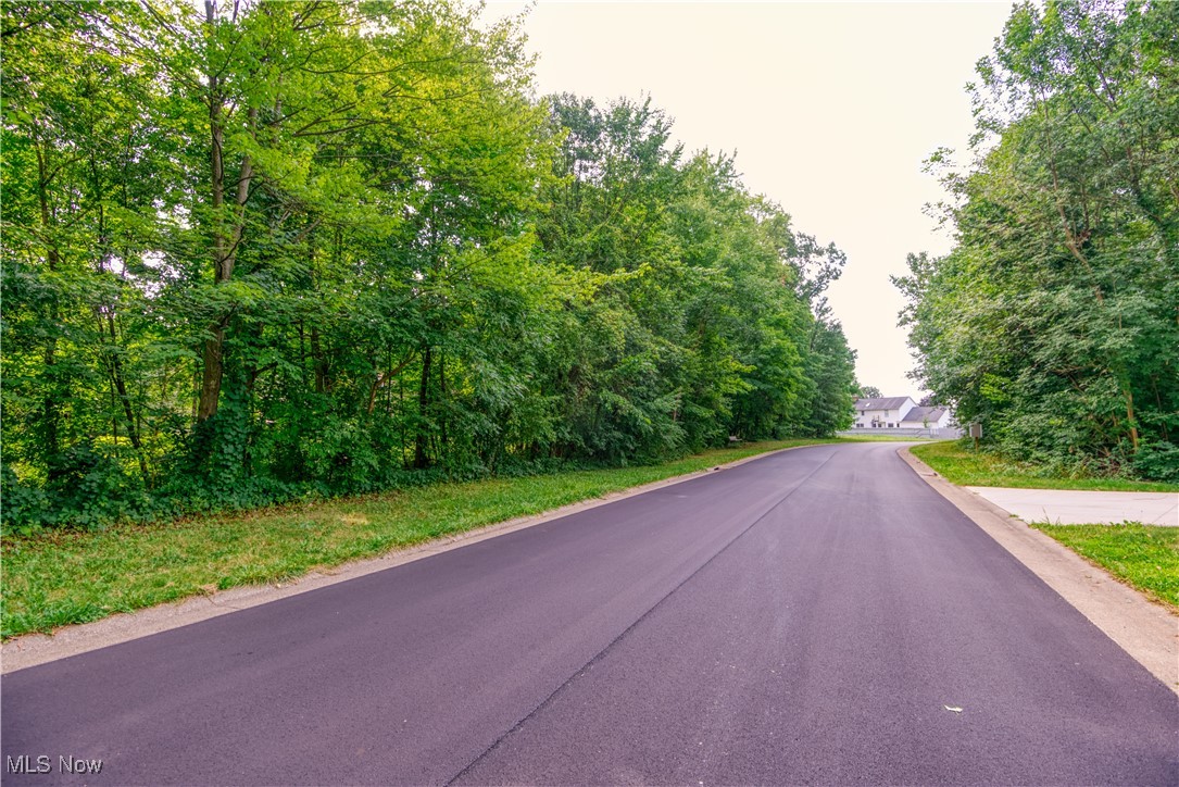 VL Shipslanding Avenue, Canton, Ohio image 19