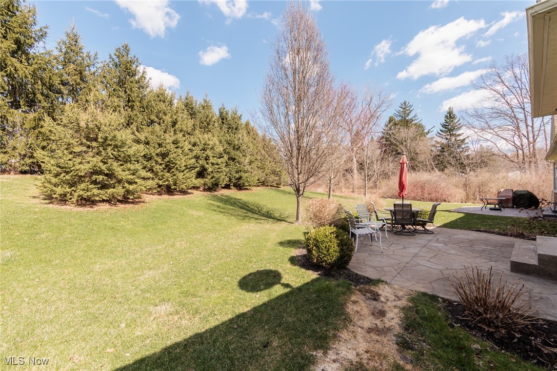 8607 Alexis Drive, Macedonia, Ohio image 44