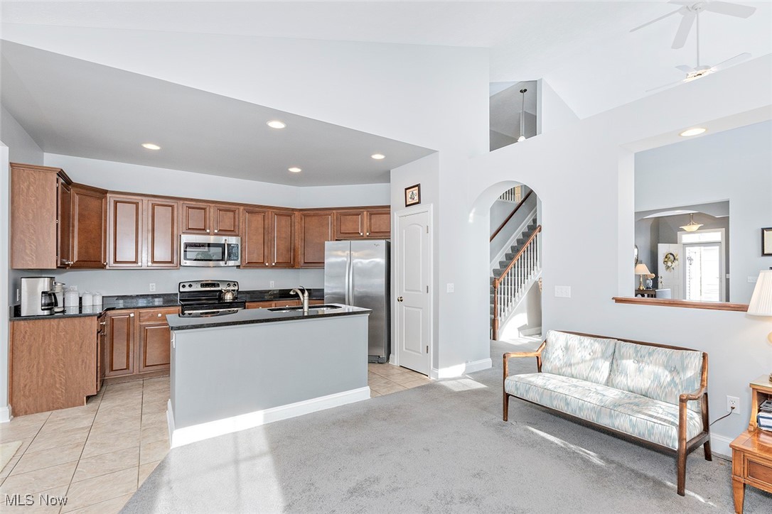 Stone Crk Clstr Dev Resub - Residential