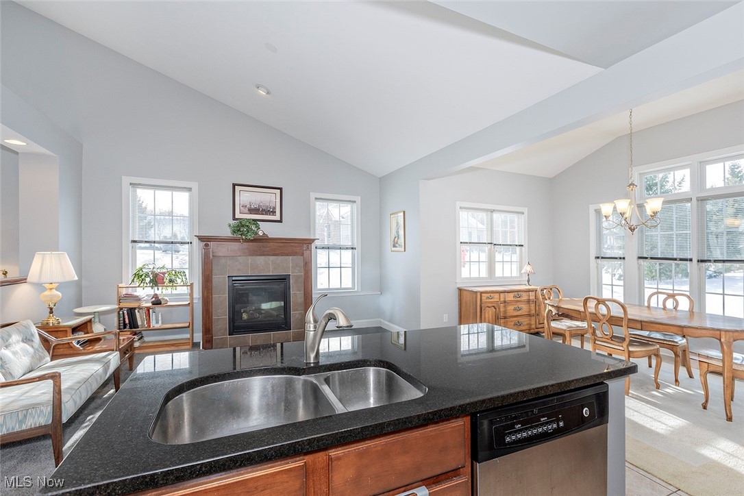 Stone Crk Clstr Dev Resub - Residential