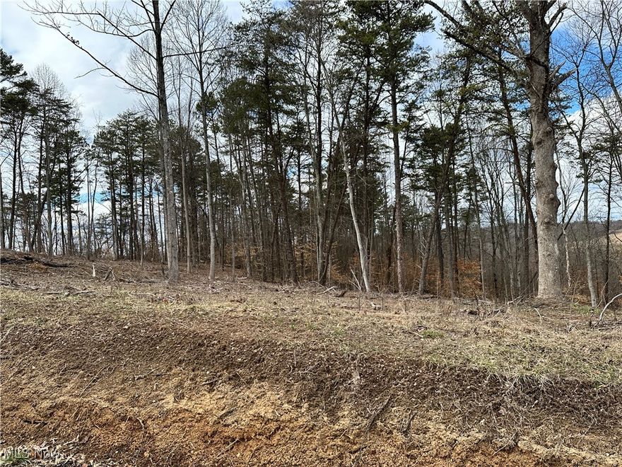 Looking for that elusive property in a rural setting yet minutes from town? This beautiful property is part of a larger parcel located on a quiet township road with access to city water and electricity. You will be minutes away from Warren Schools, historic Marietta, Parkersburg, West Virginia, and the Ohio River. Take your pick from seven lots each 5+/- acres. This listing is Tract 2 of 8 (Tract 3 is sold). Acreage is approximate and is subject to a final survey.