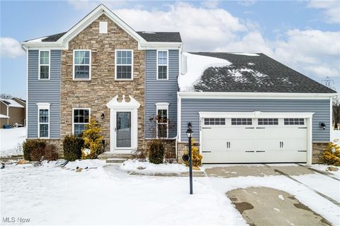 38488 Briar Lakes Drive, Avon, OH 44011 - #: 5183697