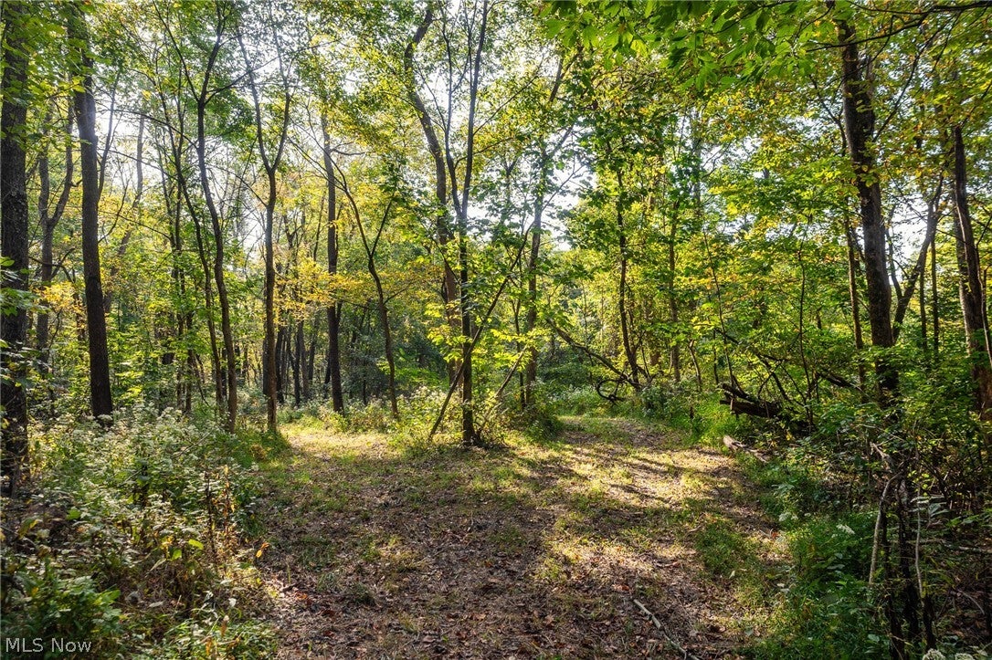 10772 Lawndell Road SW 7