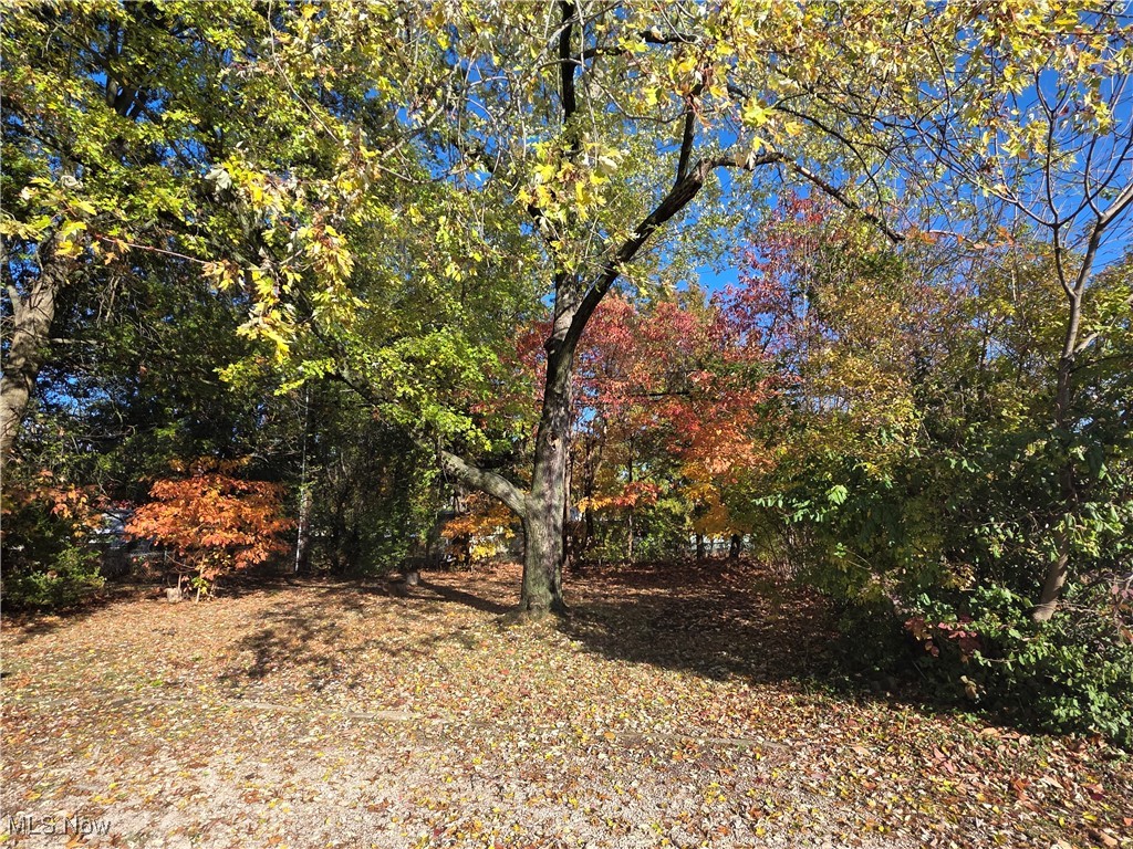 Heslop Morning View 02 - Residential