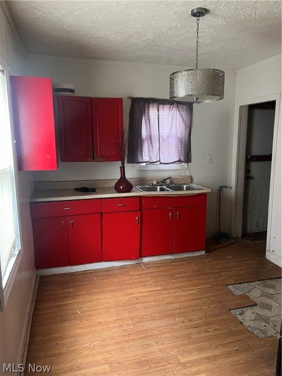 Ryan & Furlongs Allotment - Residential