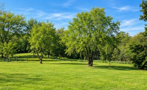 Tiny photo for 4171 Amsterdam Road SE, Scio, OH 43988 (MLS # 5257232)