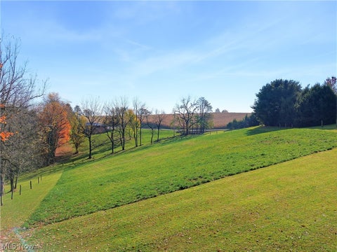 Tiny photo for 4171 Amsterdam Road SE, Scio, OH 43988 (MLS # 5257232)