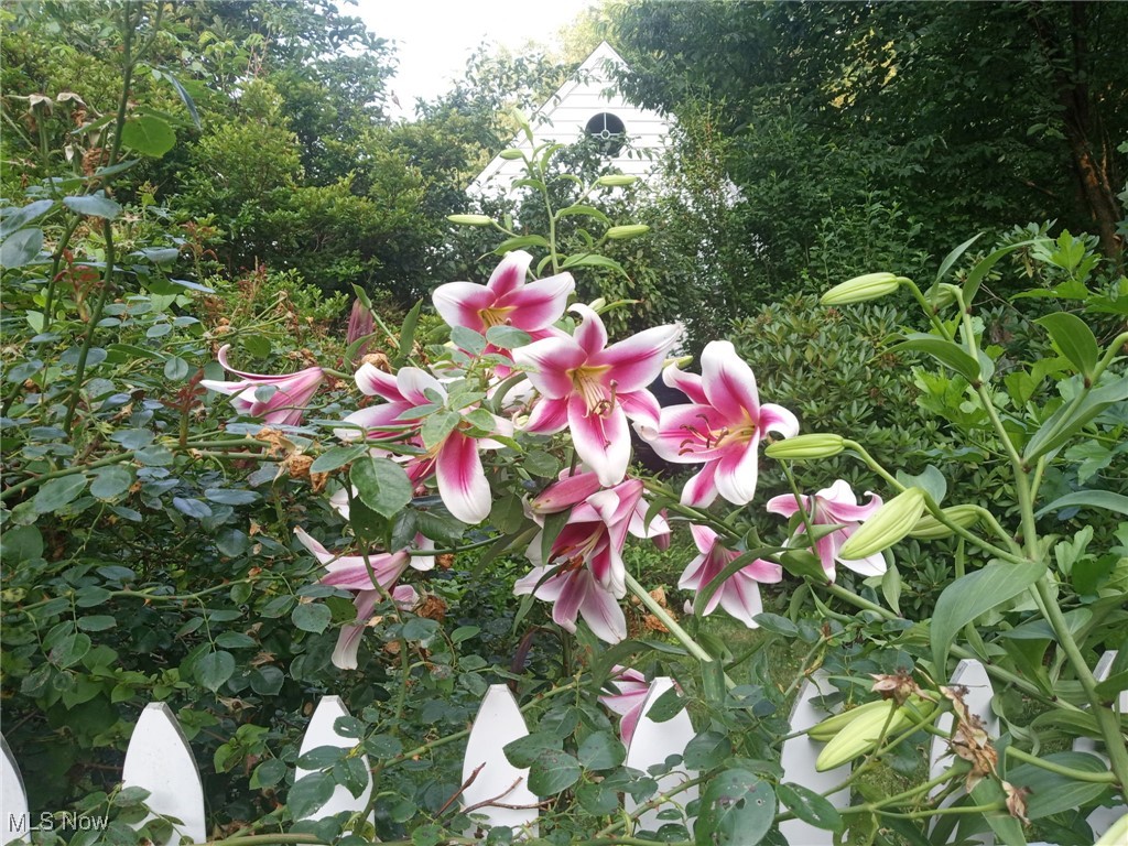 Avondale - Residential