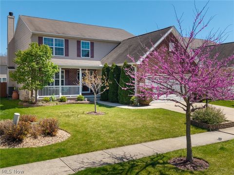 Tiny photo for 9961 Colmanara Drive, Aurora, OH 44202 (MLS # 5203222)